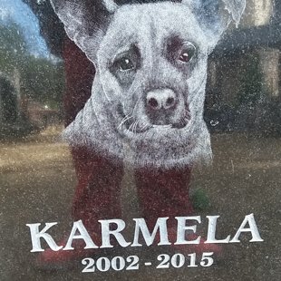 100. Piemineklis mīļotajam mājdzīvniekam