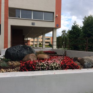 72 Rīgas vidusskolas teritorijas labiekārtošana