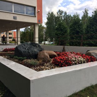 72 Rīgas vidusskolas teritorijas labiekārtošana