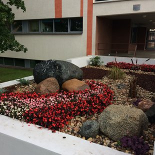 72 Rīgas vidusskolas teritorijas labiekārtošana