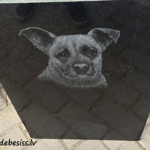 99. Mīļota mājdzīvnieka portreta gravējums uz granīta pieminekļa